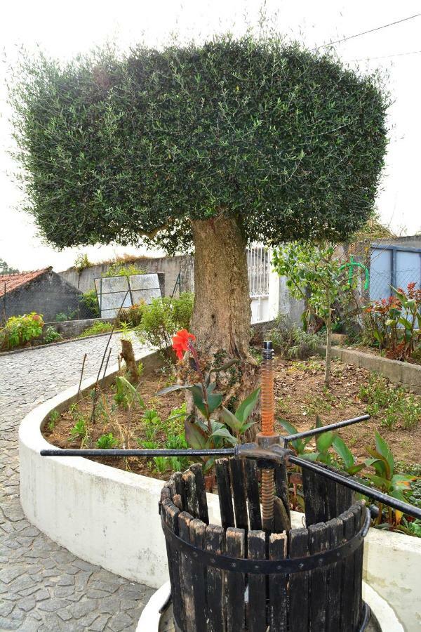 Penzion Casa Rebelo Cossourado  Exteriér fotografie