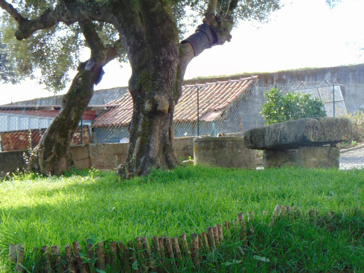 Penzion Casa Rebelo Cossourado  Exteriér fotografie